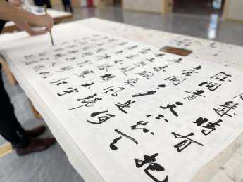 墨香四溢 漢中市書法家協(xié)會(huì)攜手西鄉(xiāng)縣博物館共襄書法盛舉